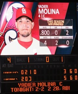 yadi 289 x 346