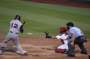 yadi catch 346x230
